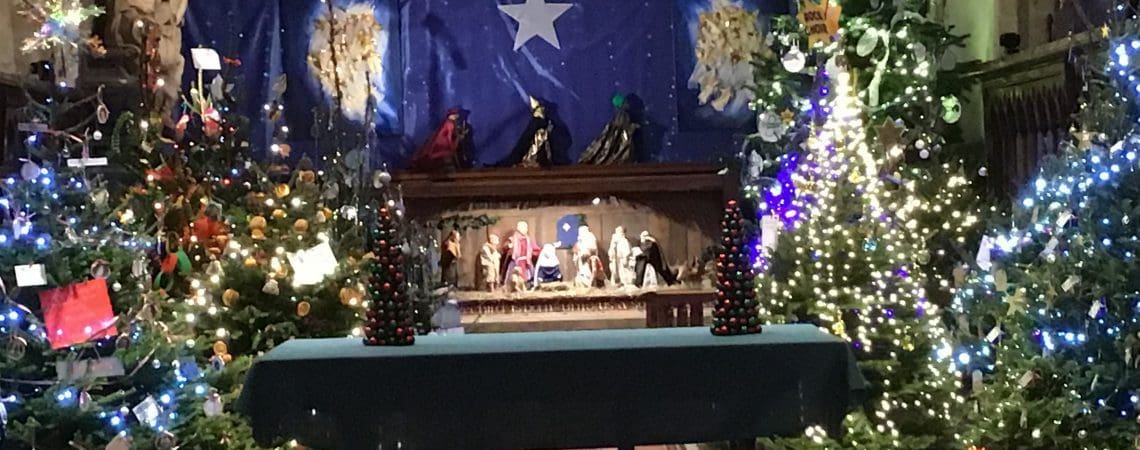 Decorated Christmas Trees and a Nativity scene